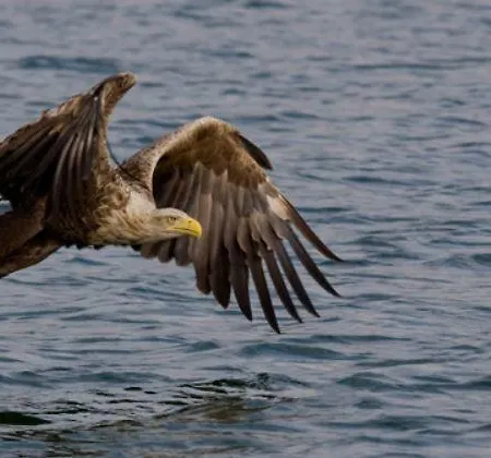 Hébergement de vacances Tuulingu House At Matsalu National Park
