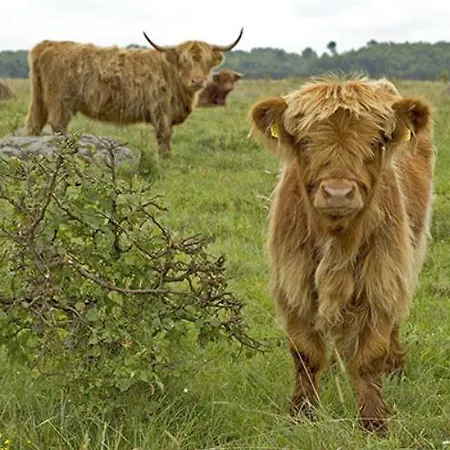 Tuulingu House At Matsalu National Park Hébergement de vacances Haeska