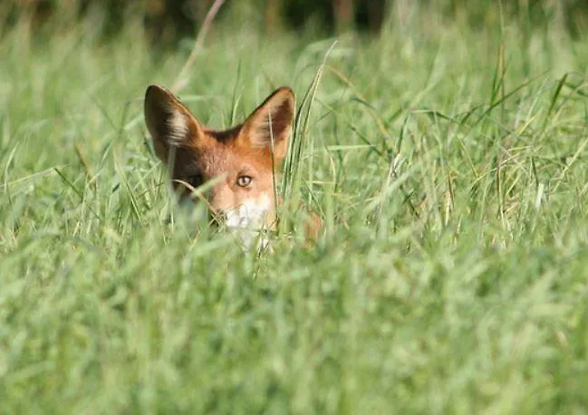 Tuulingu House At Matsalu National Park