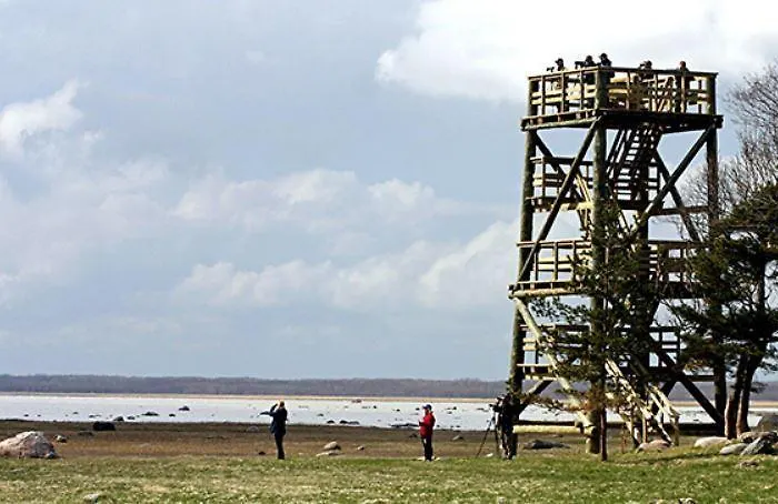 Tuulingu House At Matsalu National Park بيت للعطل *