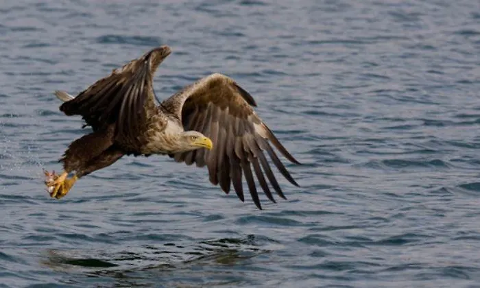 بيت للعطل Tuulingu House At Matsalu National Park