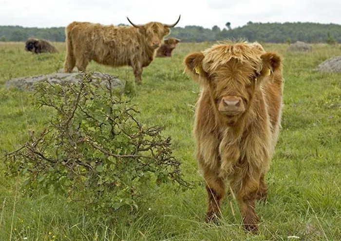 Tuulingu House At Matsalu National Park بيت للعطل Haeska