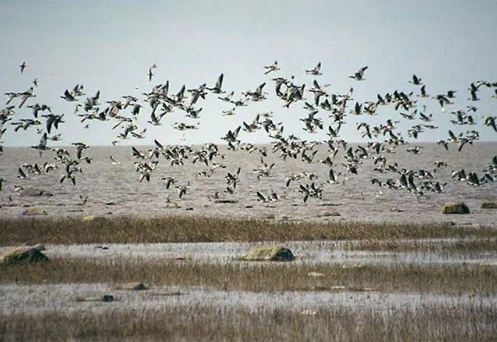 Tuulingu House At Matsalu National Park
